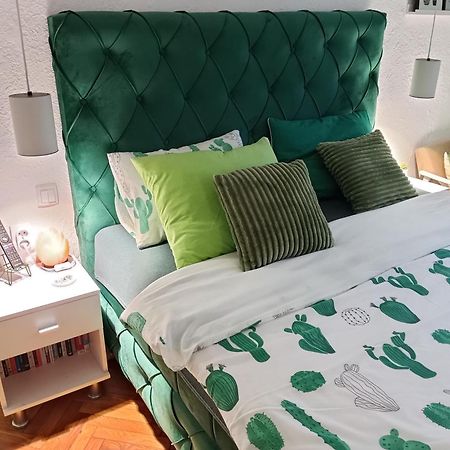 Green Cactus Rooms - Unique And Cozy House Senta 外观 照片