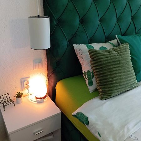 Green Cactus Rooms - Unique And Cozy House Senta 外观 照片
