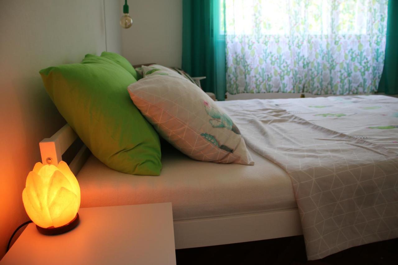 Green Cactus Rooms - Unique And Cozy House Senta 外观 照片