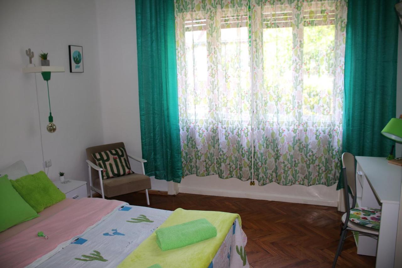 Green Cactus Rooms - Unique And Cozy House Senta 外观 照片