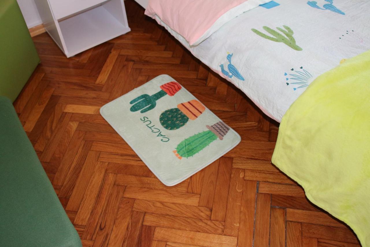 Green Cactus Rooms - Unique And Cozy House Senta 外观 照片