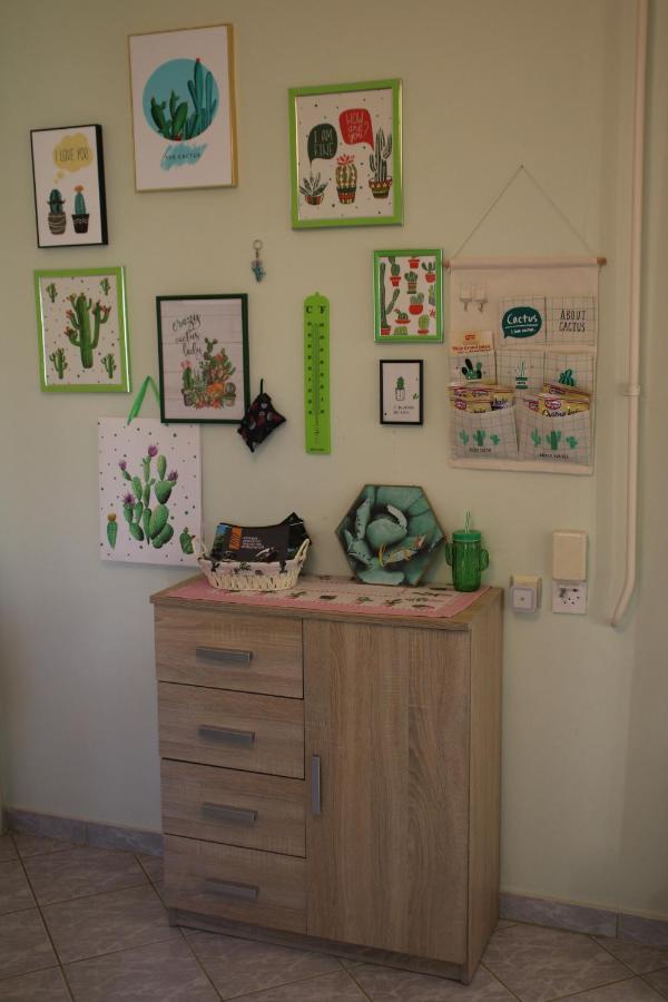 Green Cactus Rooms - Unique And Cozy House Senta 外观 照片