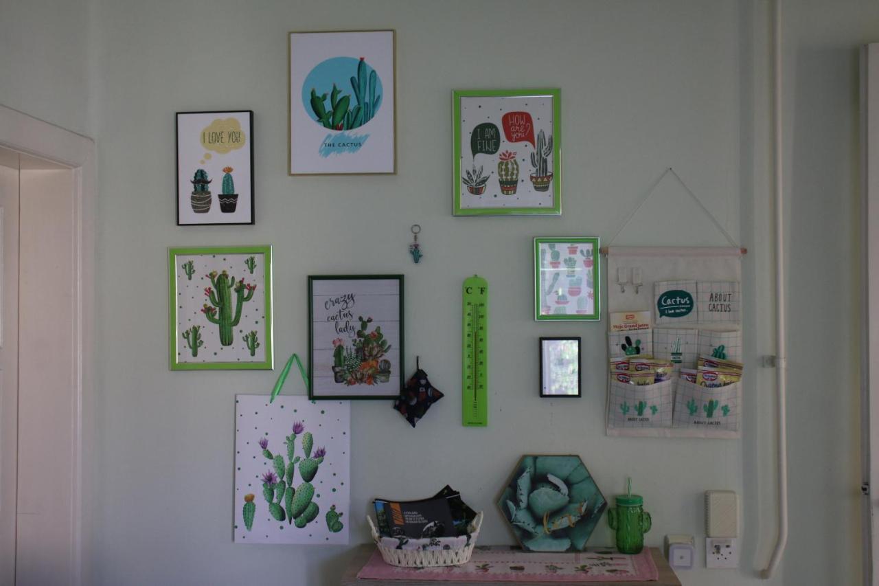Green Cactus Rooms - Unique And Cozy House Senta 外观 照片