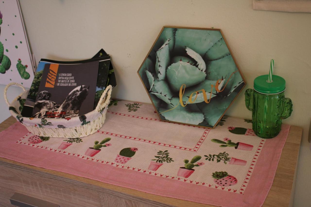 Green Cactus Rooms - Unique And Cozy House Senta 外观 照片