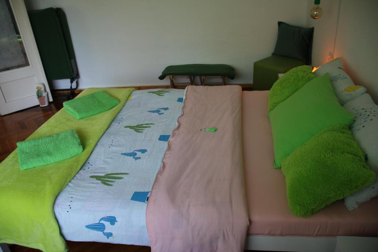 Green Cactus Rooms - Unique And Cozy House Senta 外观 照片