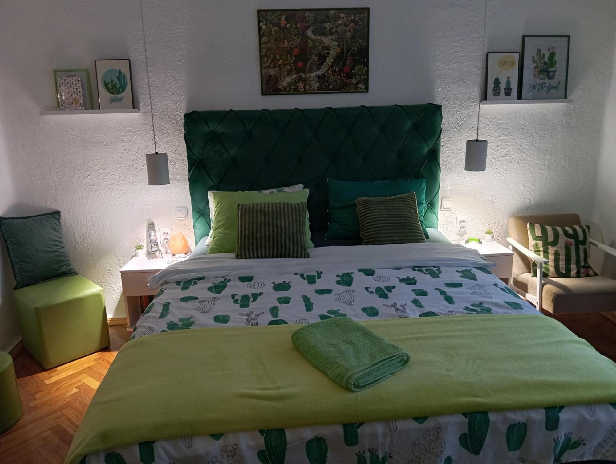 Green Cactus Rooms - Unique And Cozy House Senta 外观 照片