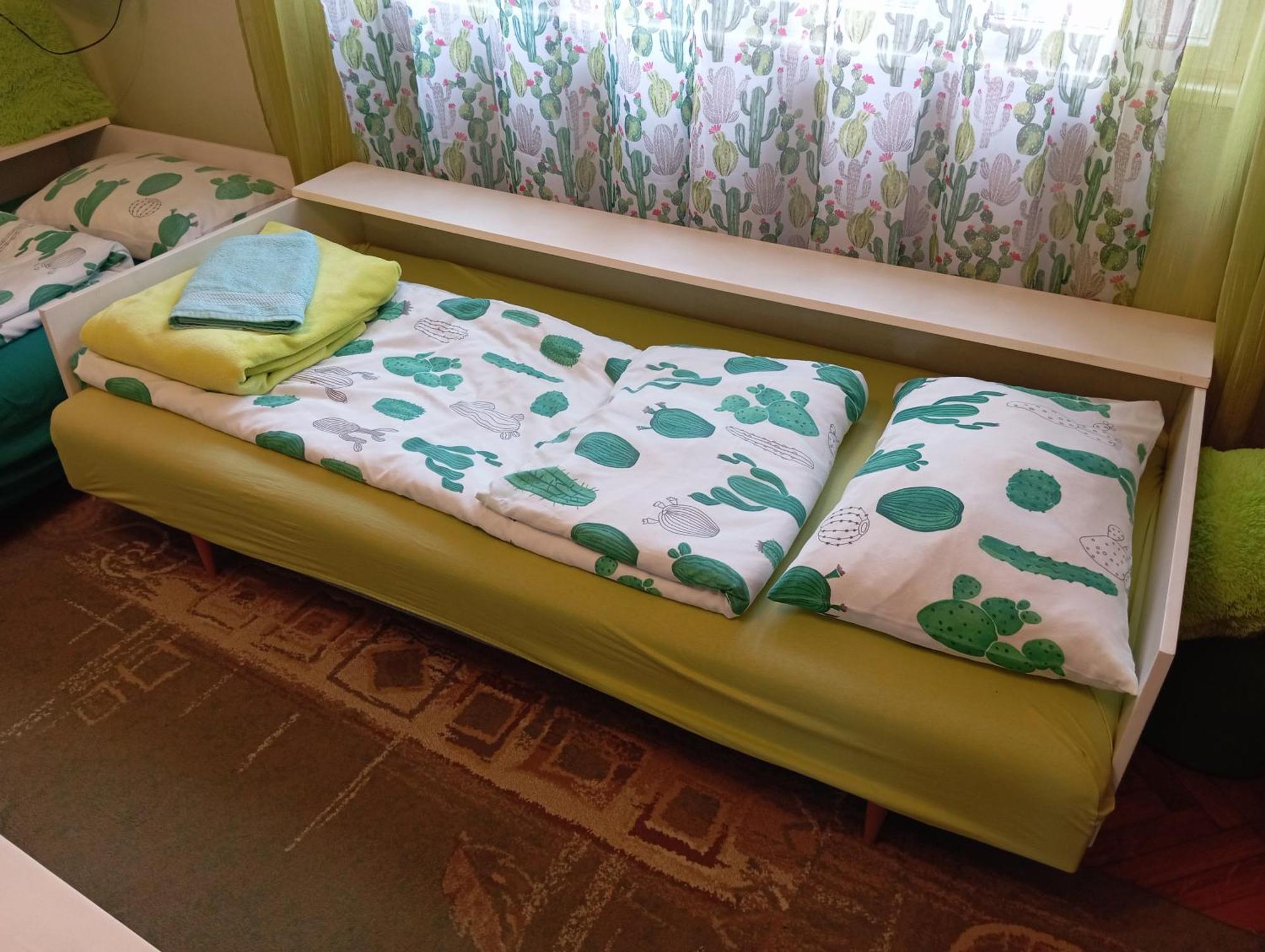 Green Cactus Rooms - Unique And Cozy House Senta 外观 照片